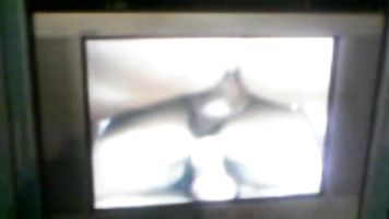 Indian Couple XXX Film On TV - Movies.